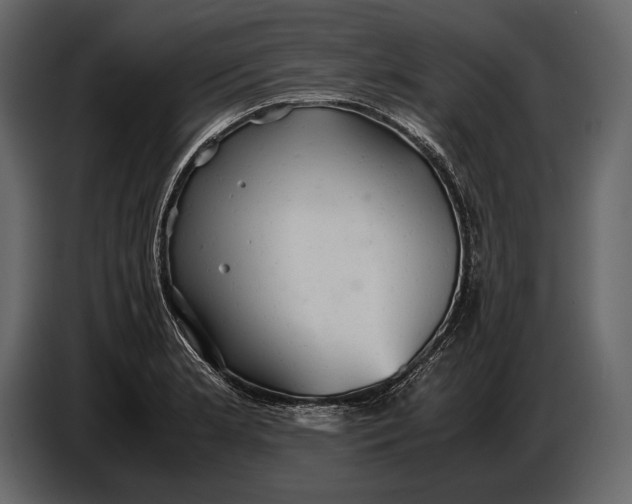 X0000087011181200705071520