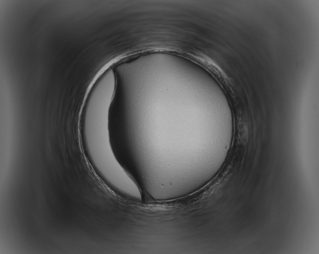 X0000087011182200705071520