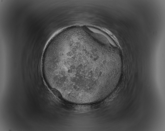 X0000087011183200705071520