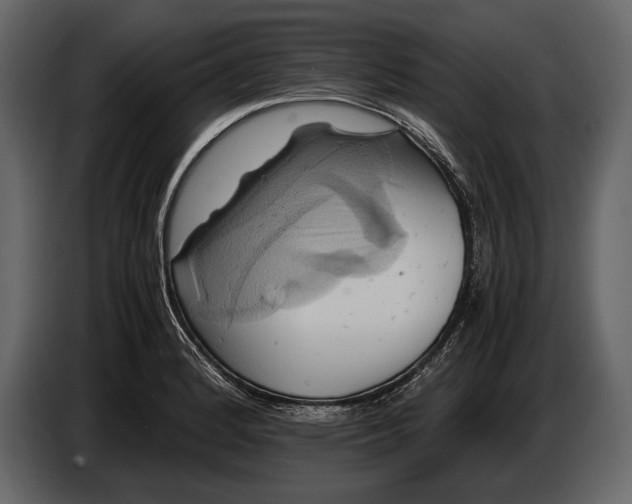 X0000087011184200705071520