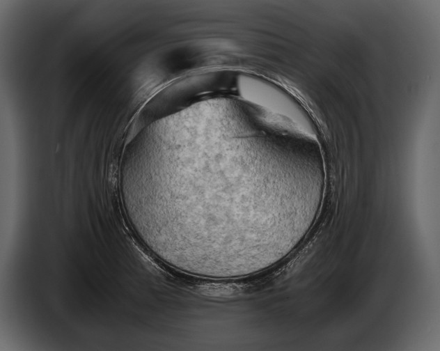 X0000087011185200705071520