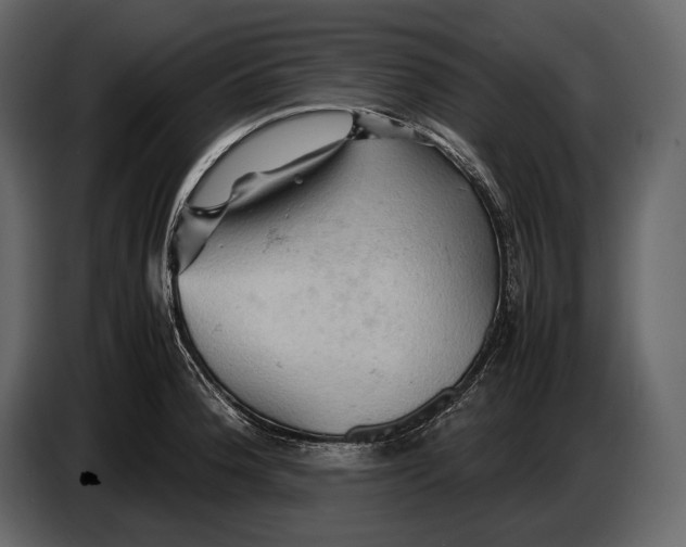 X0000087011188200705071520