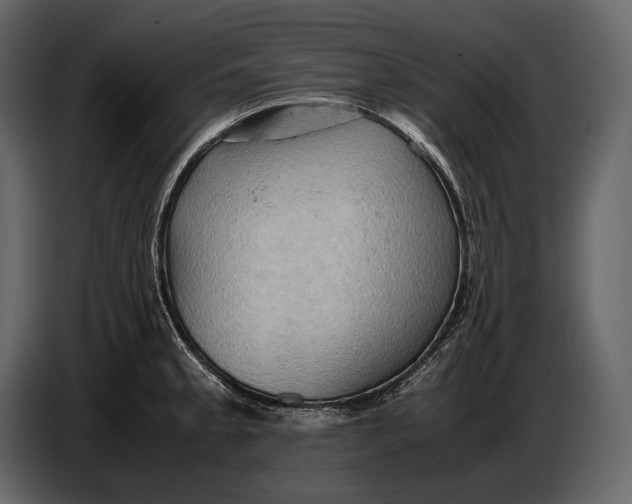 X0000087011189200705071520