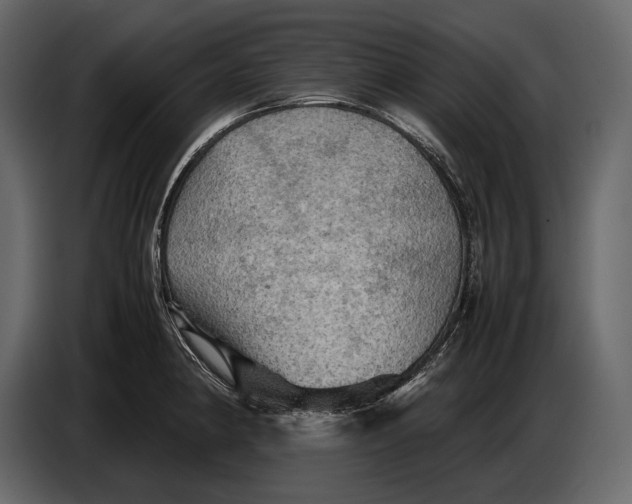 X0000087011190200705071520