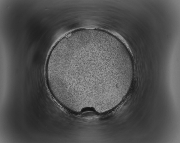 X0000087011191200705071520