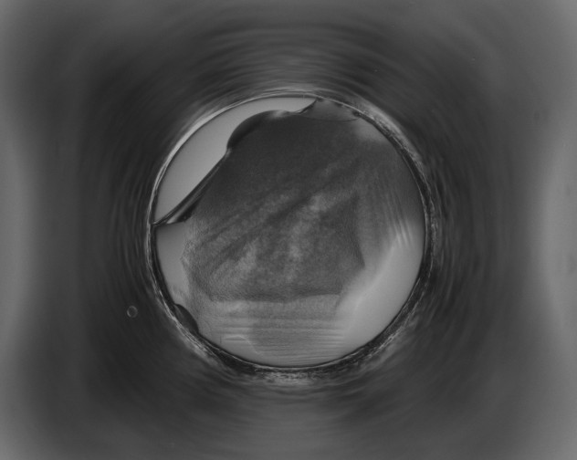 X0000087011194200705071520