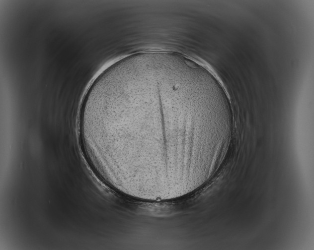 X0000087011195200705071520