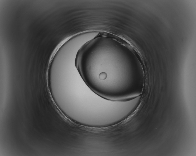 X0000087011196200705071520