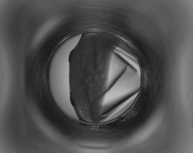 X0000087011198200705071519