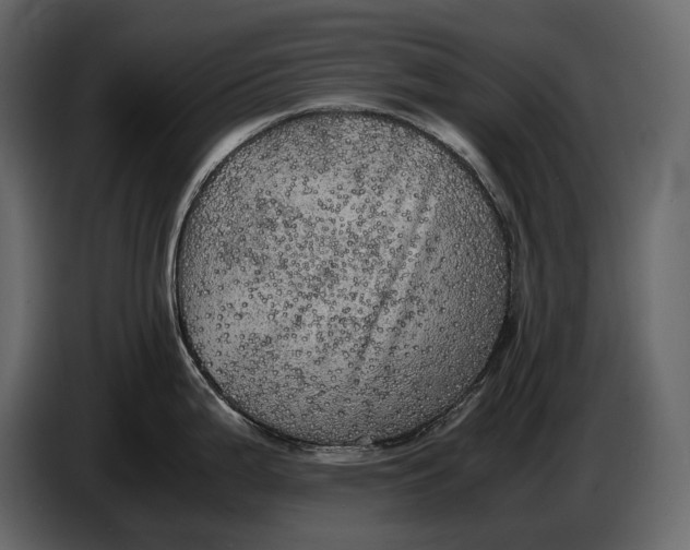 X0000087011199200705071519