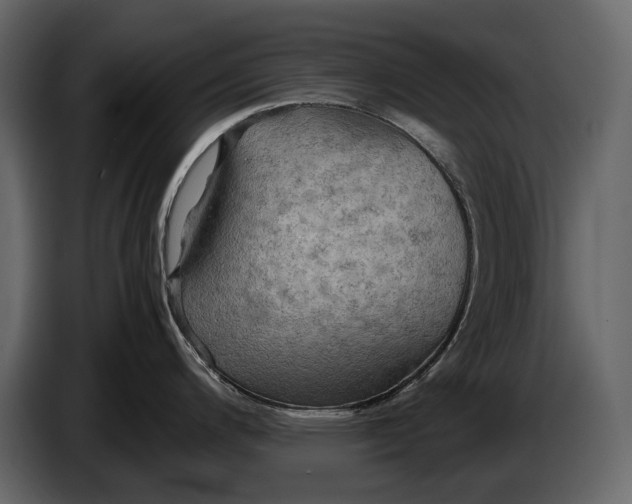 X0000087011200200705071519