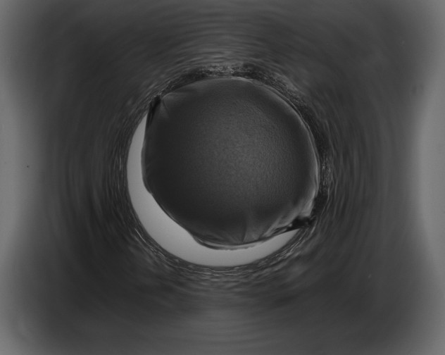 X0000087011202200705071519