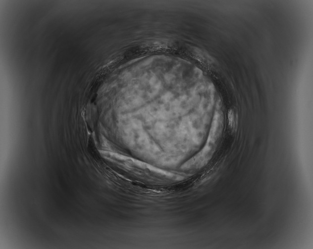 X0000087011203200705071519