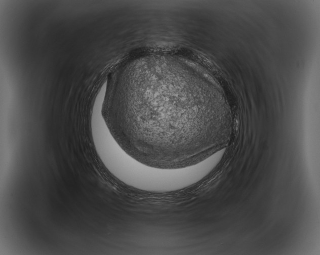 X0000087011204200705071519