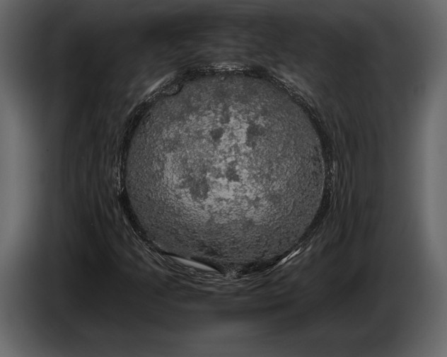 X0000087011205200705071519