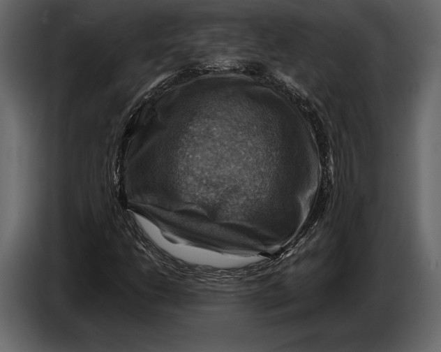 X0000087011206200705071519