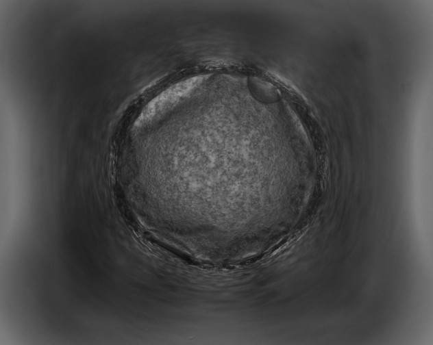 X0000087011207200705071519