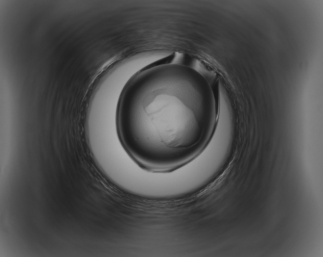 X0000087011210200705071519