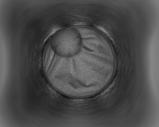 X0000087011211200705071519