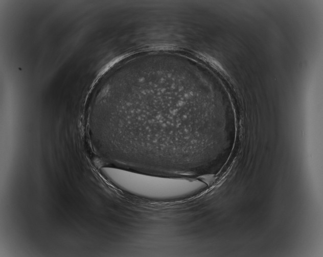 X0000087011212200705071519