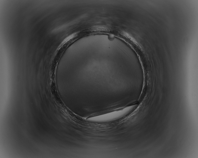 X0000087011213200705071519