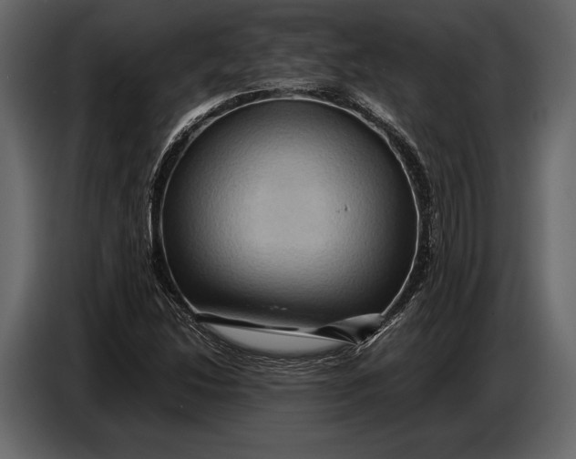 X0000087011214200705071519