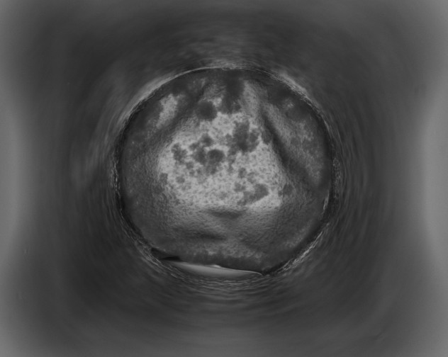 X0000087011215200705071519