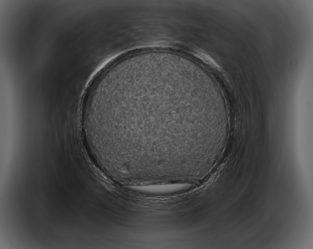 X0000087011216200705071519