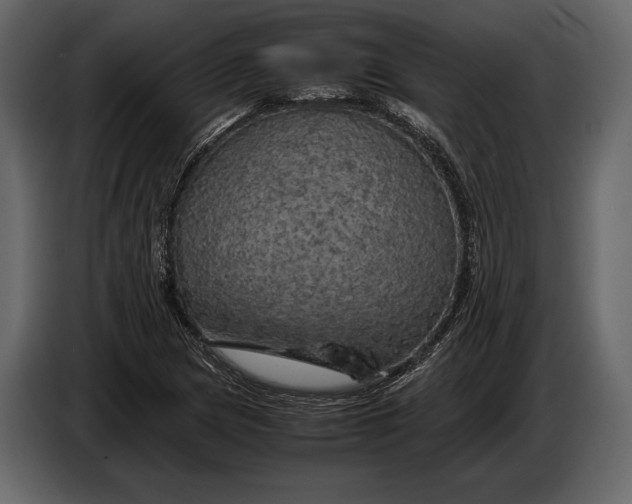 X0000087011217200705071519