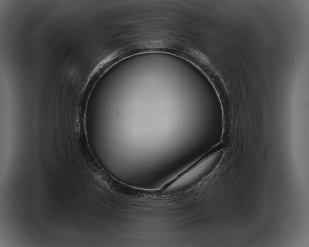 X0000087011218200705071519