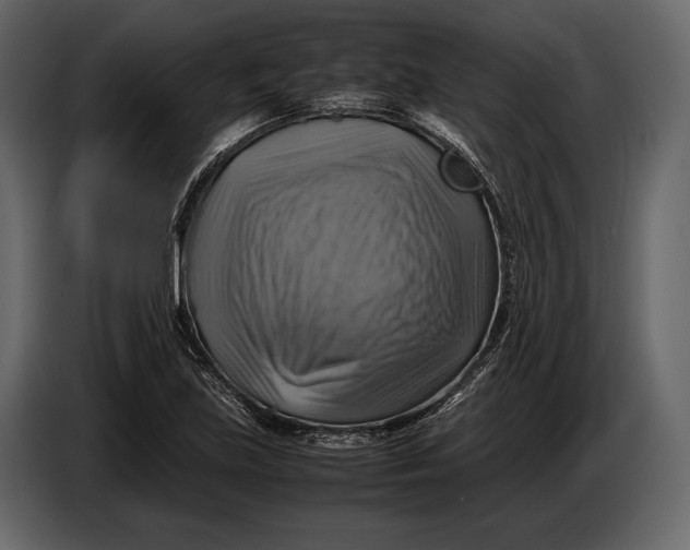 X0000087011219200705071519