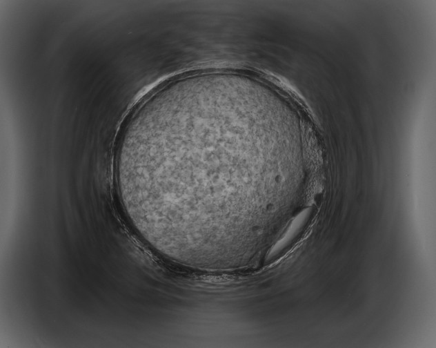 X0000087011220200705071519