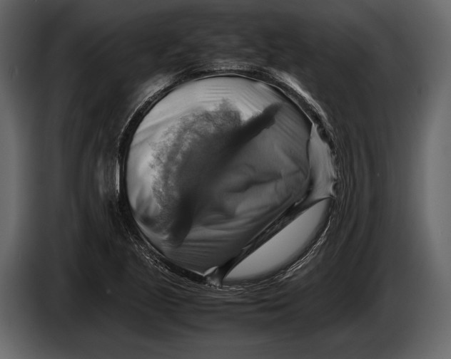 X0000087011221200705071519