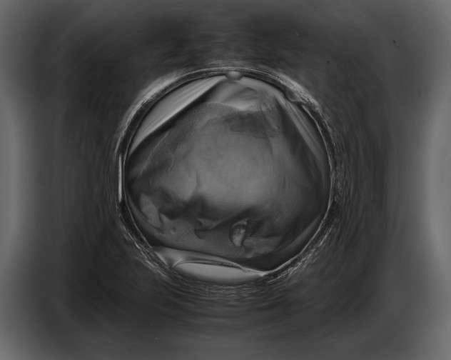 X0000087011223200705071519