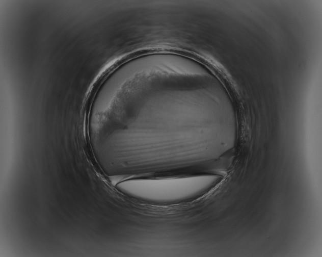 X0000087011224200705071519