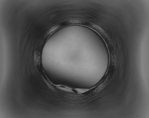 X0000087011225200705071519