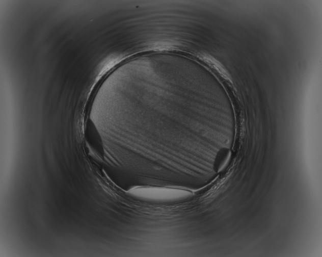 X0000087011226200705071519