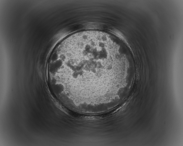 X0000087011227200705071519