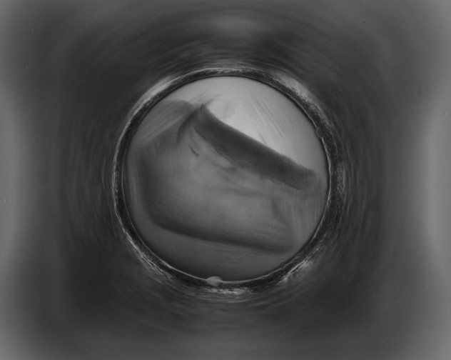 X0000087011229200705071519