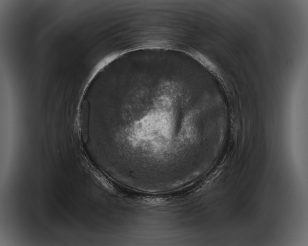 X0000087011230200705071519