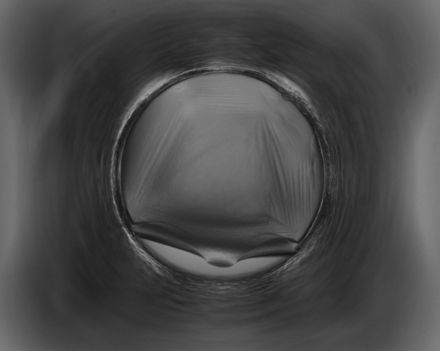 X0000087011231200705071519