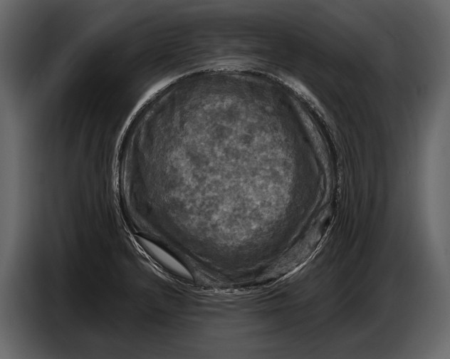 X0000087011232200705071519