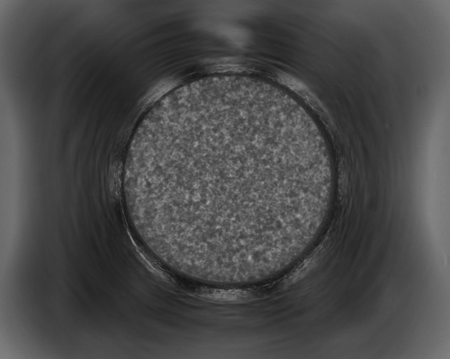 X0000087011233200705071519