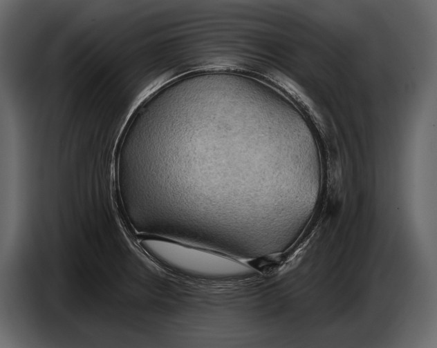 X0000087011234200705071519