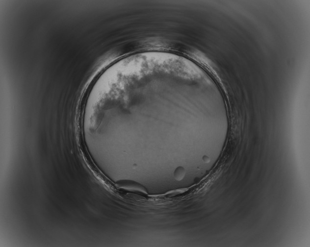 X0000087011235200705071519