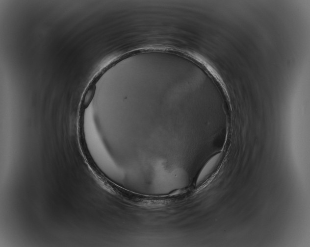 X0000087011237200705071519