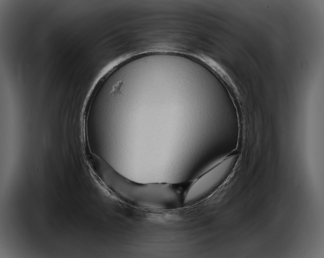 X0000087011238200705071519