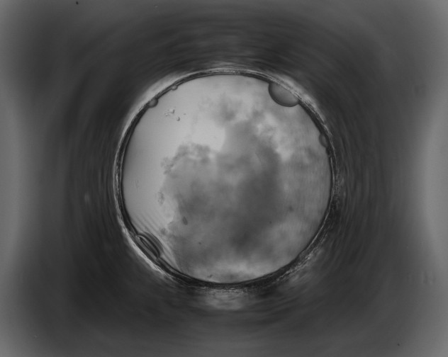 X0000087011239200705071519