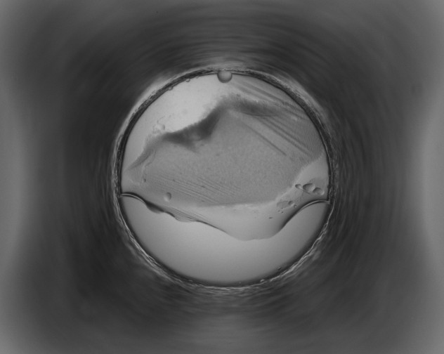 X0000087011240200705071519