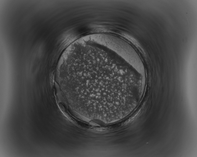 X0000087011241200705071519